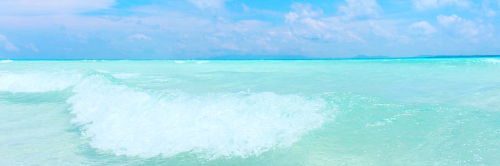 vanabonana's profile banner image