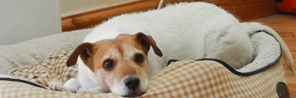 sue288 Profile Banner