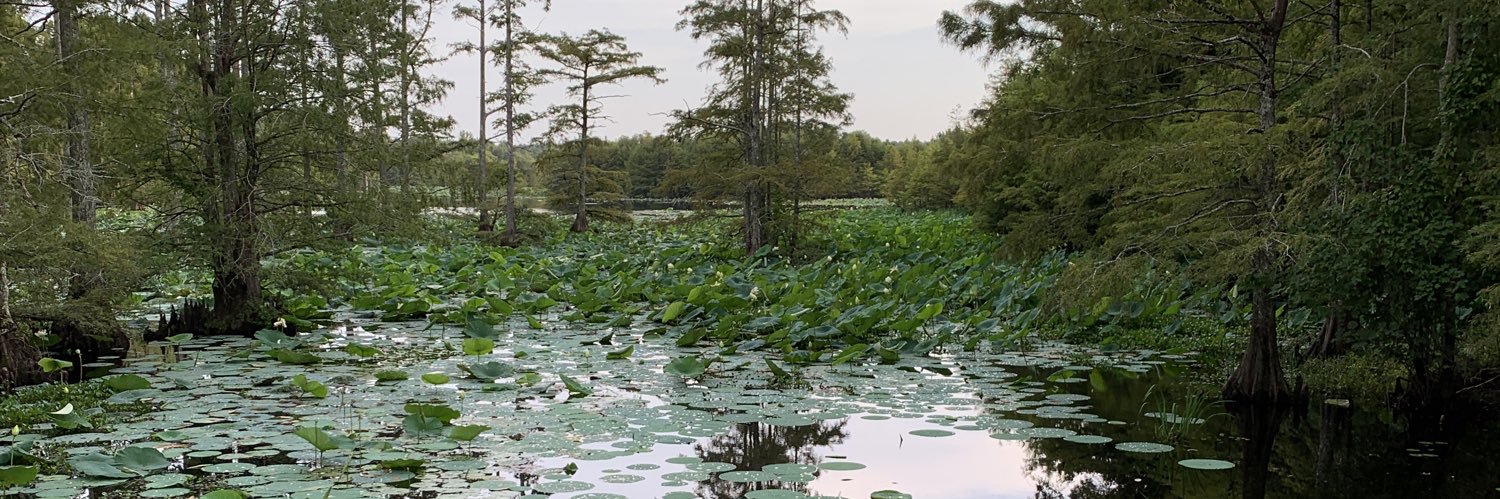 Ying Wang (Ph.D) banner