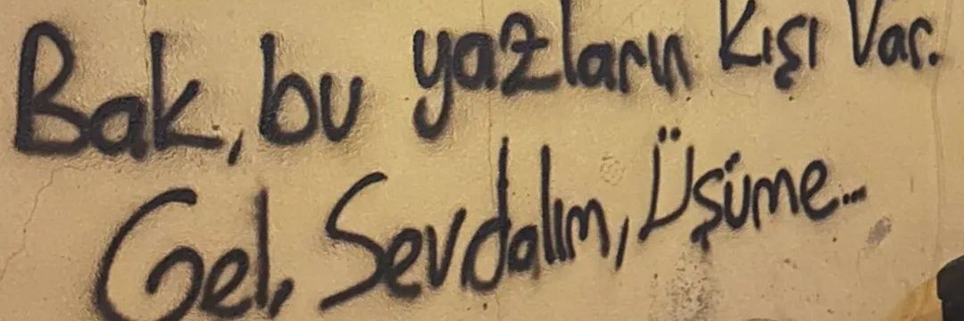eylull_53's profile banner image