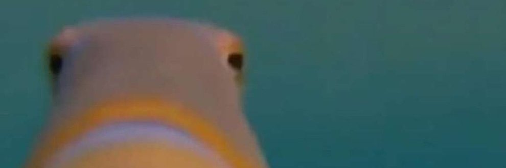 LooshThot's profile banner image