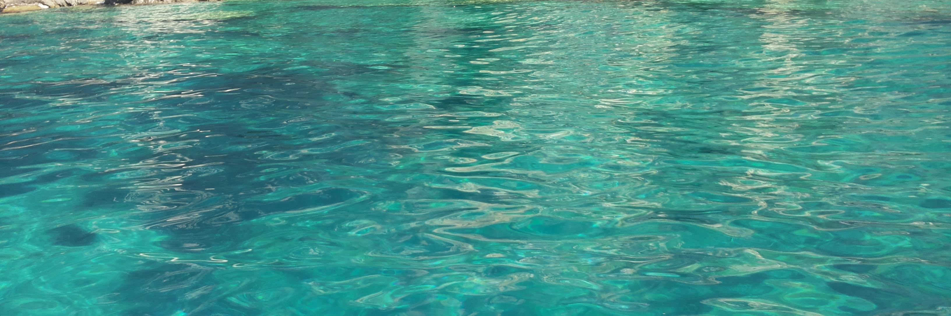 Antonio Abate banner