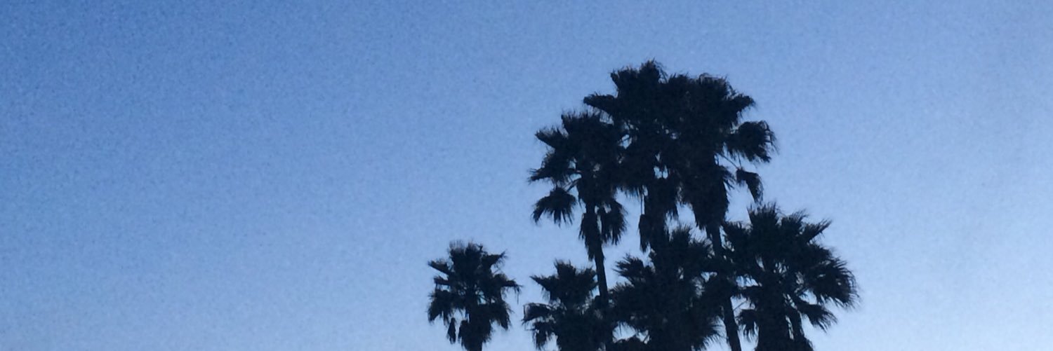 Julia Philipp (3/3) banner