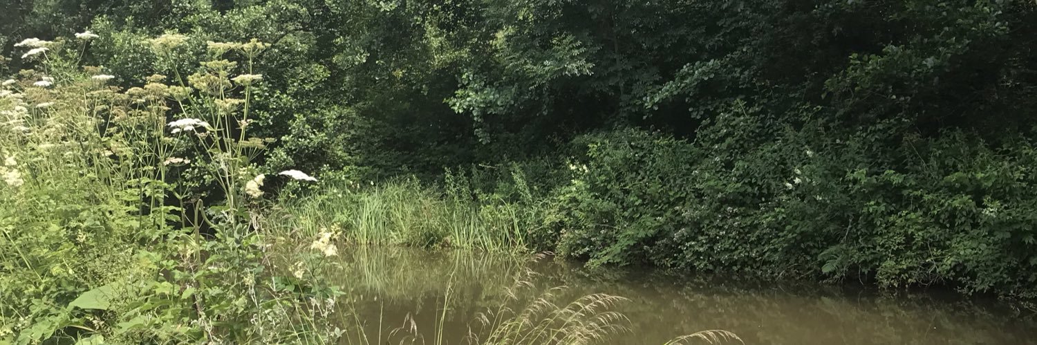 rwhobarb's profile banner image