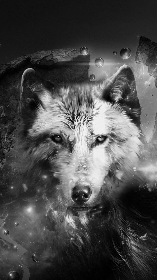 RockingJoe967's profile banner image