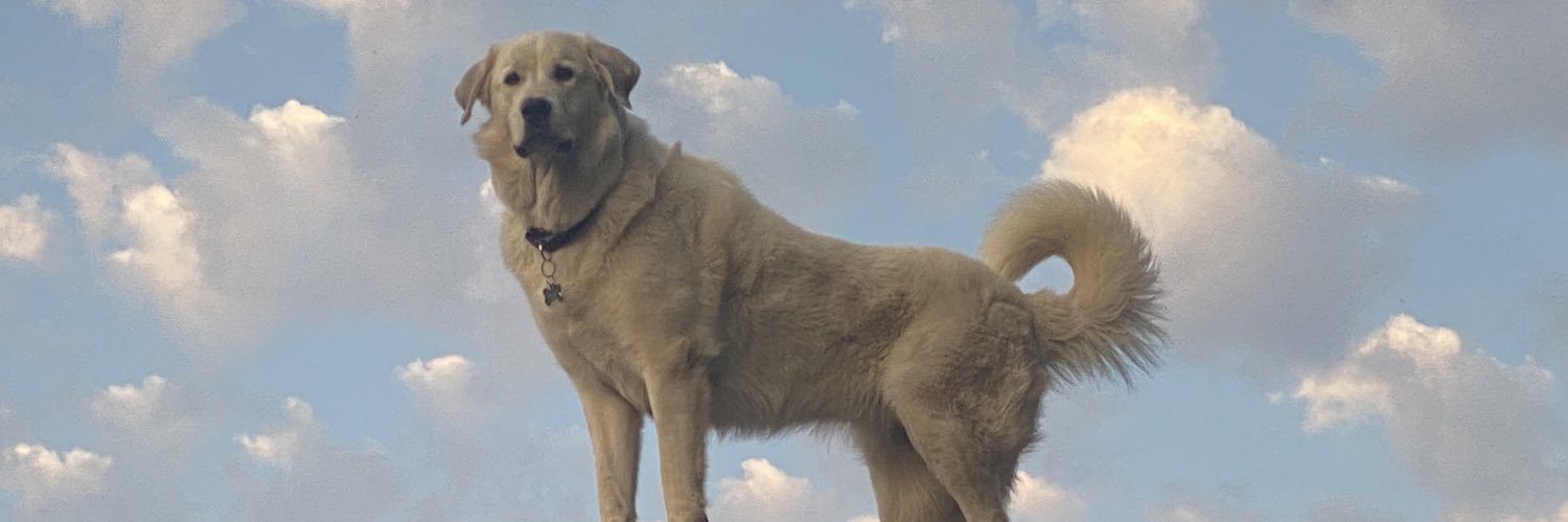 AndyBoe's profile banner image