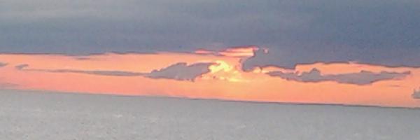 monkies39 Profile Banner