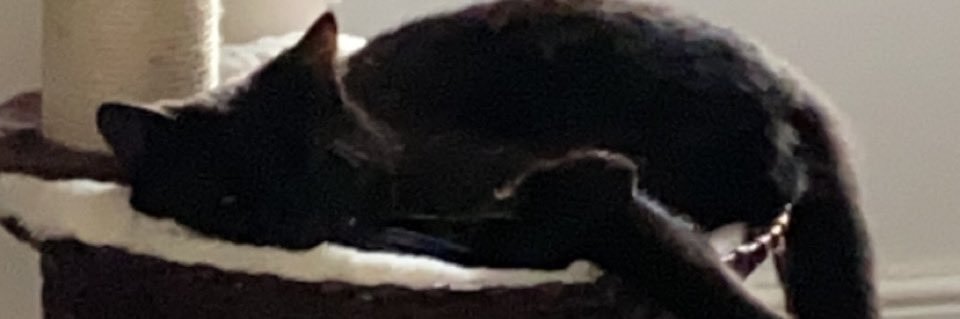 bbrown5's profile banner image