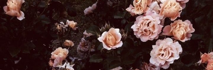 _Ayo0omah's profile banner image