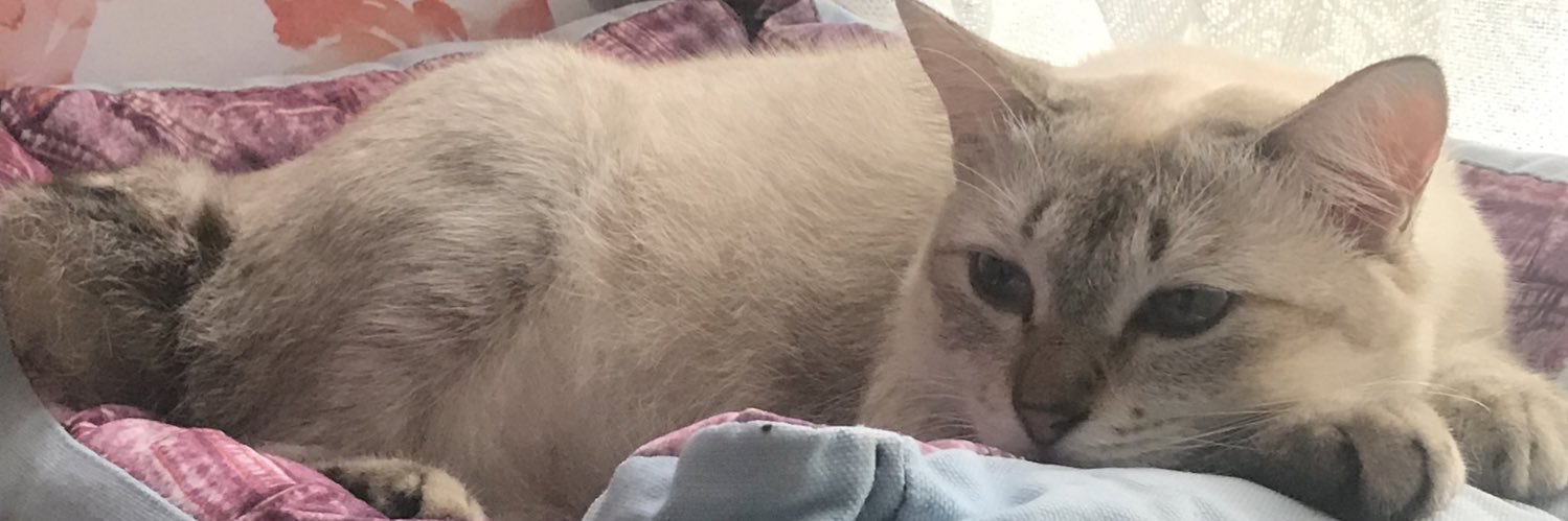 HuffHufftuff's profile banner image