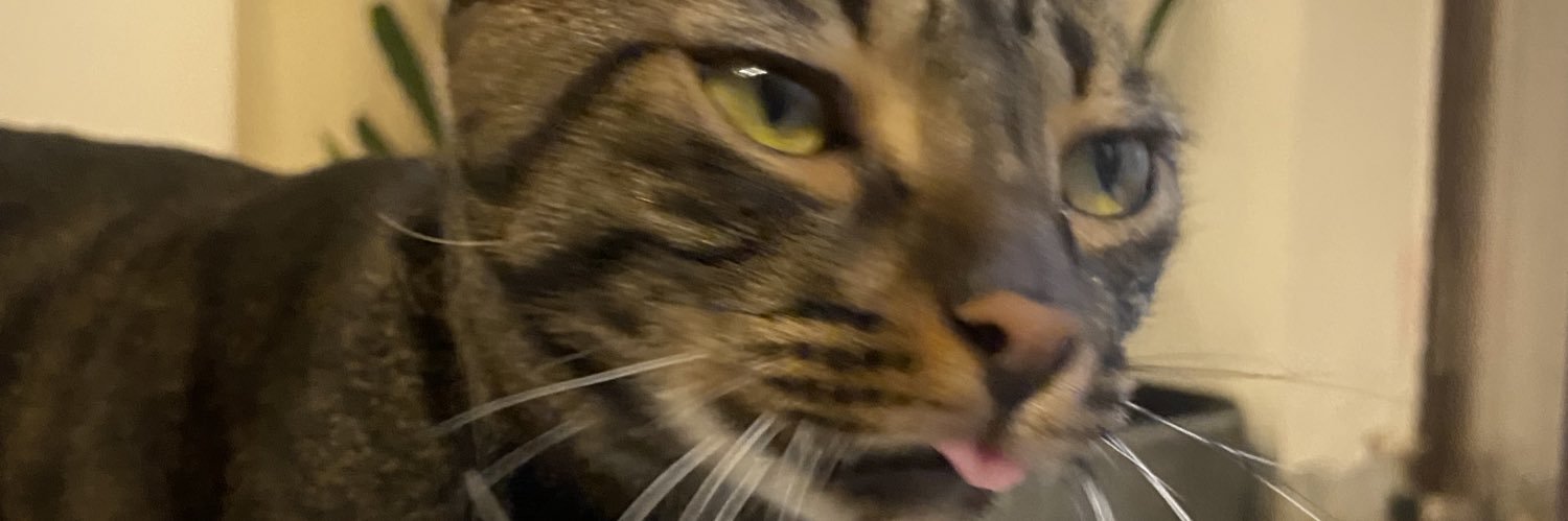 Zoya Springwala banner