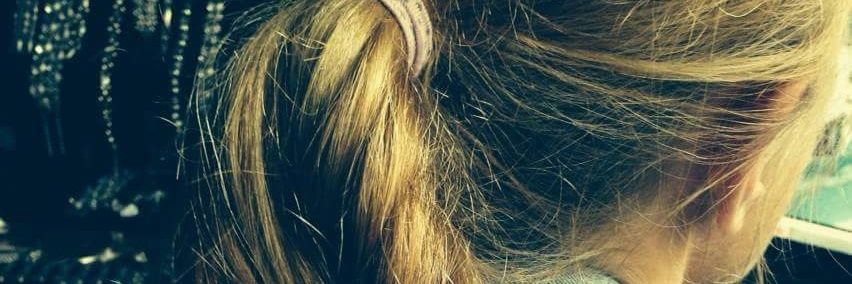 Evelien v Amerongen banner