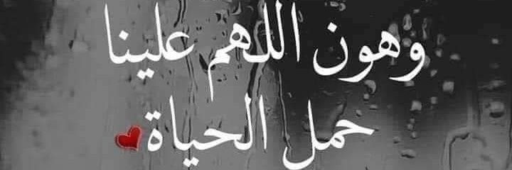 Rofa429Rofa's profile banner image