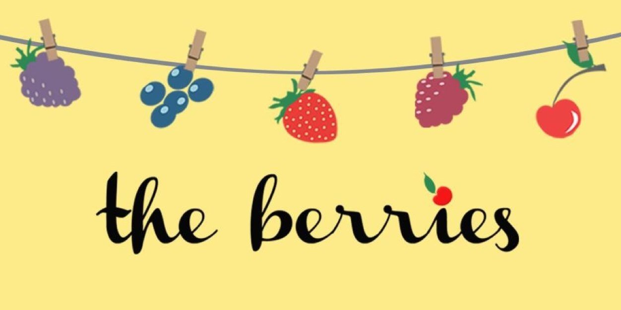 shoptheberries's profile banner image
