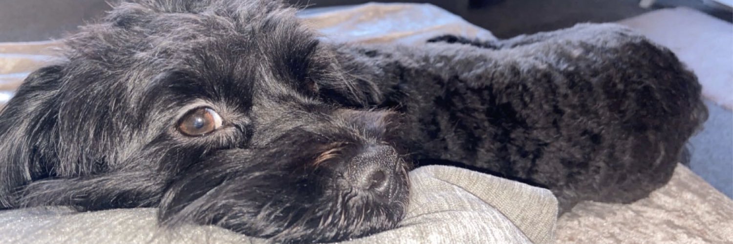 𝒦𝑒𝓁𝓁𝓎 𝒮𝓌𝒾𝓃𝒹𝒶𝒾𝓁 banner