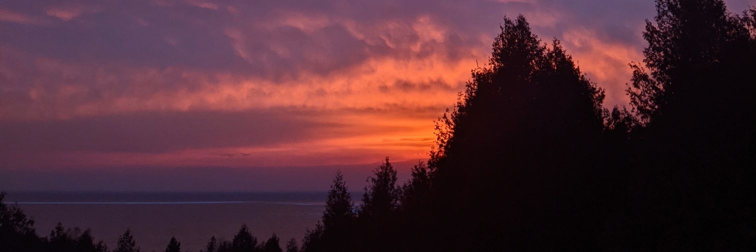 Nicole Irvine banner