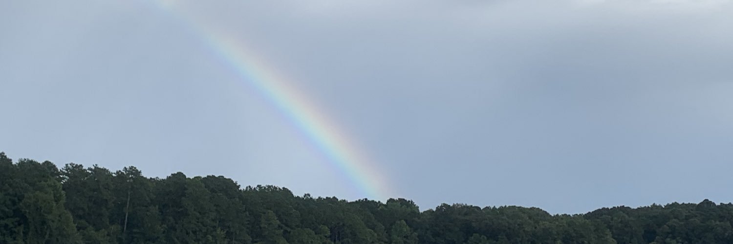 maggienmccurdy's profile banner image