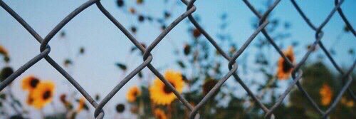 zevsgdr's profile banner image