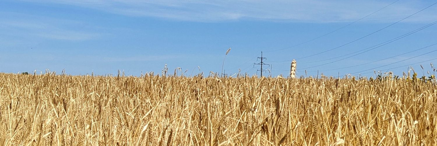 Марічка, що готує шоколадки's banner
