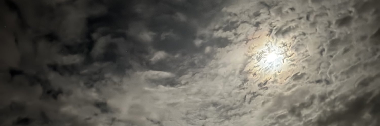 Claudia_Tonon banner