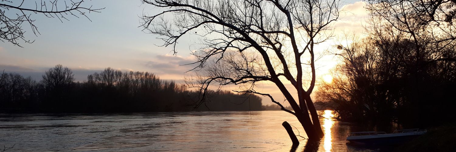 BMalterre's profile banner image