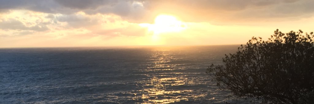 smignanego's profile banner image
