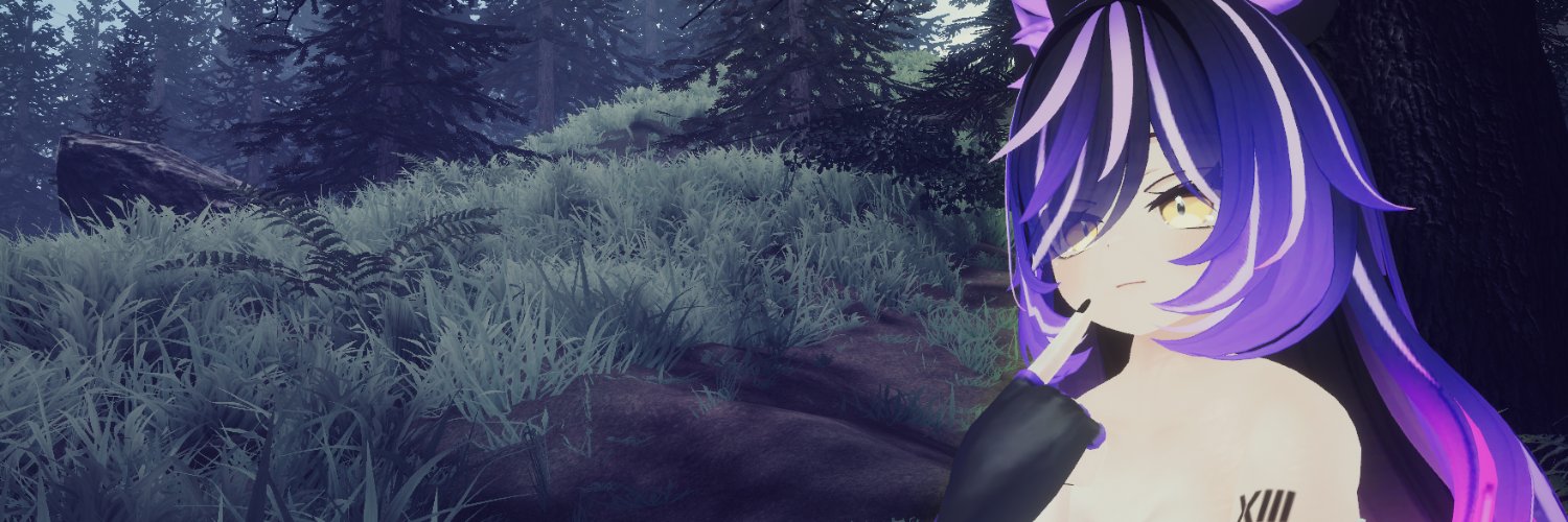 ZeraCyfox's profile banner image