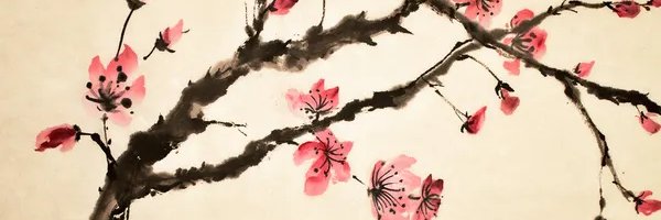 M____laura's profile banner image