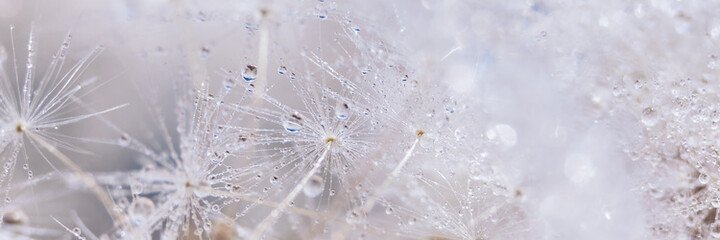 norazee's profile banner image
