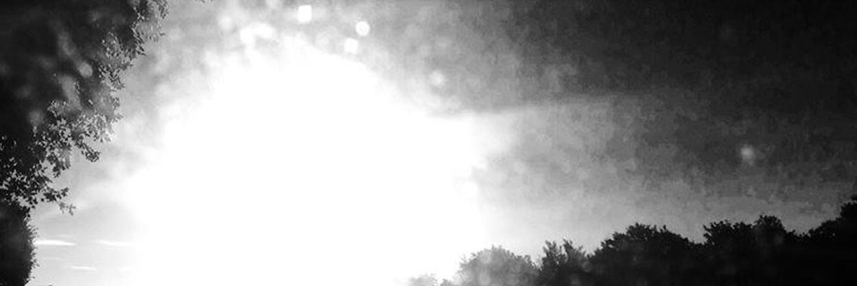 traceartists's profile banner image