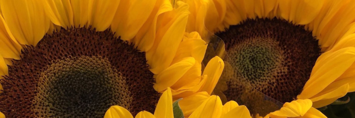 nmtsdh's profile banner image