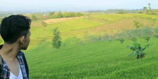 dionsaputra8's profile banner image