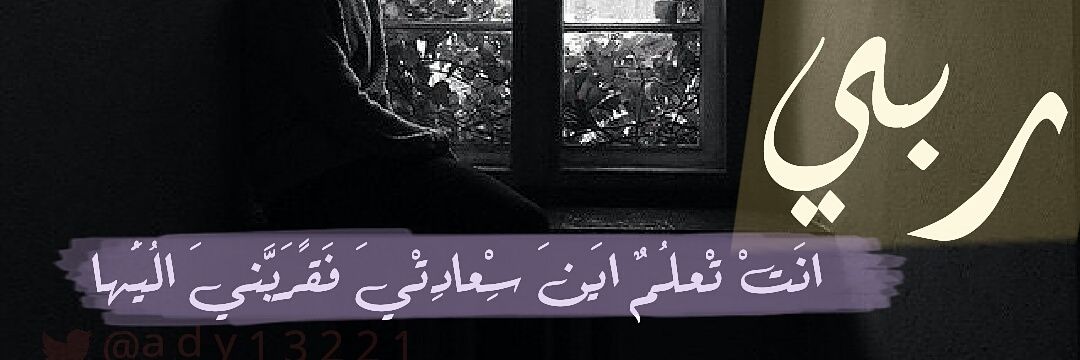 ady13221's profile banner image