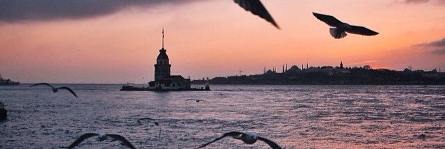 MmeeRvEeeeee's profile banner image