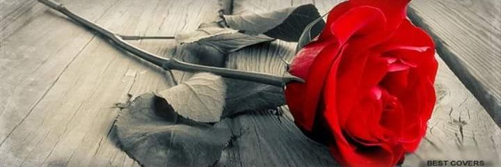 rafaqat513's profile banner image