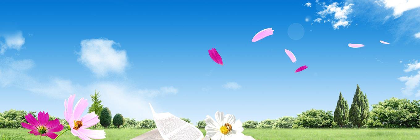 MarycstipeC's profile banner image
