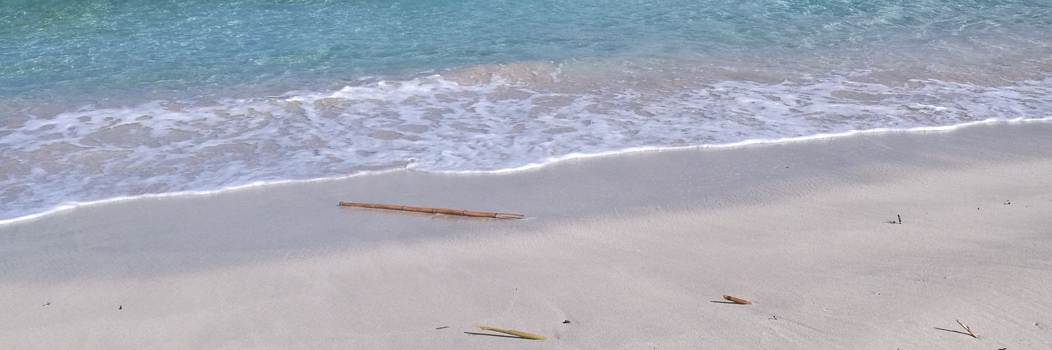 IvaniaPuccio's profile banner image