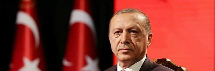 sinan_temizel's profile banner image