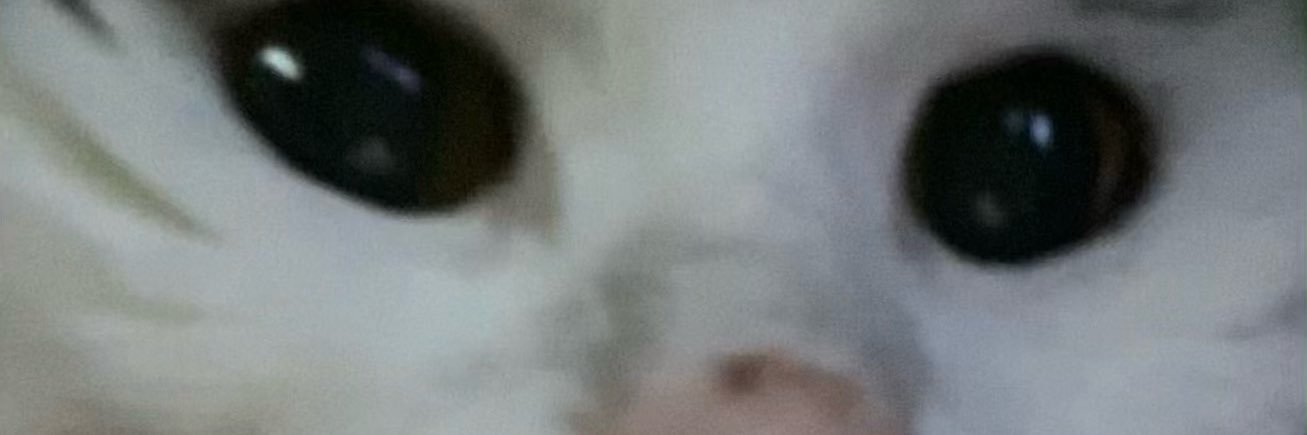 MrsKatRob's profile banner image