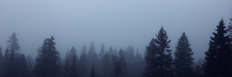 Carter_Fizzy's profile banner image
