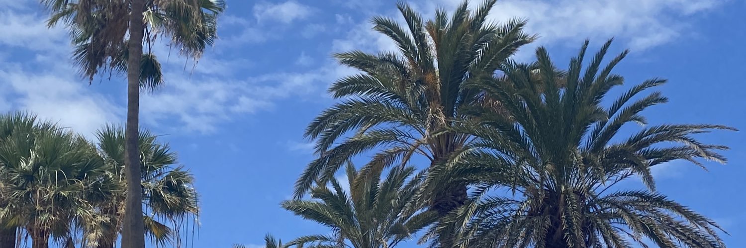 jodietaylor__'s profile banner image
