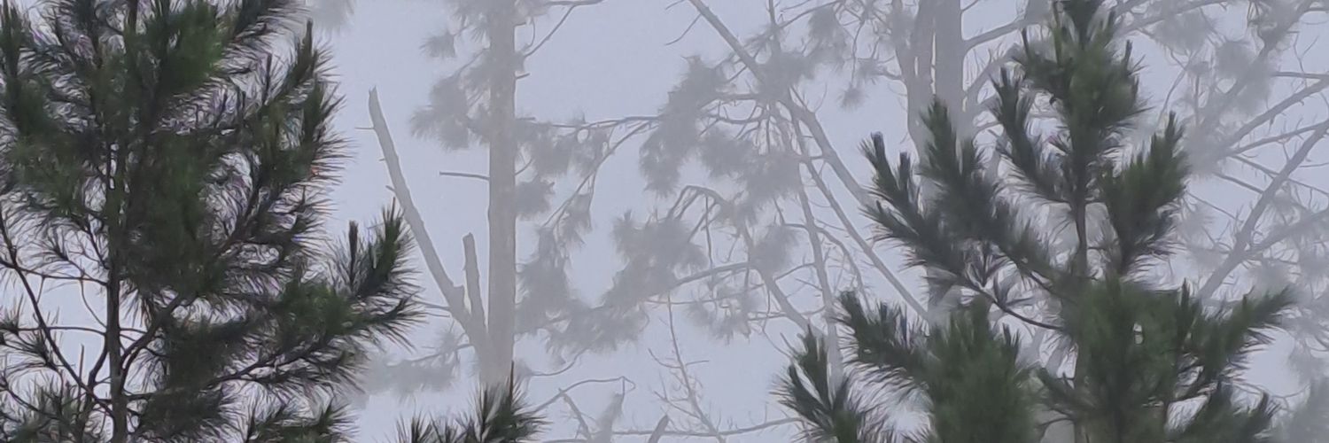 abcdefghilumore's profile banner image