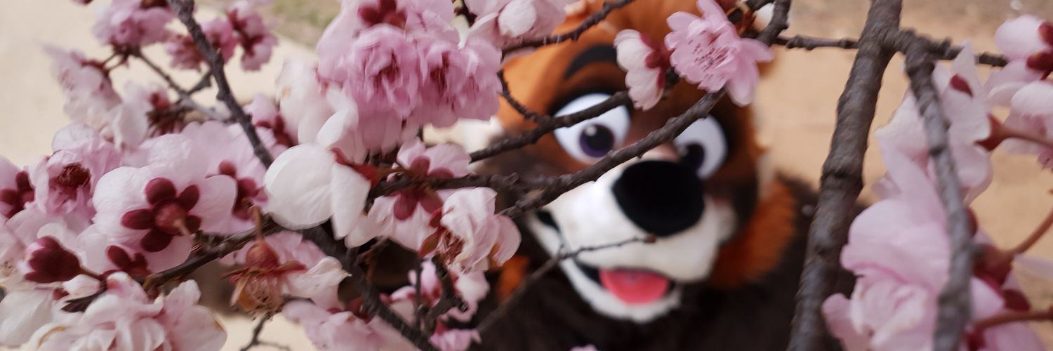 🌸PrincePanda 🍂 Kaede Momiji🌸 banner