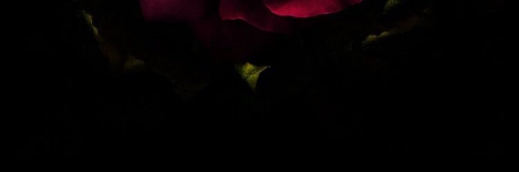 Bxsmxx's profile banner image