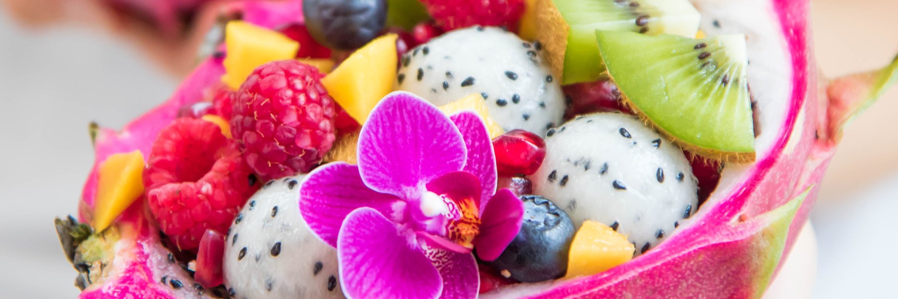 Choosing chia banner