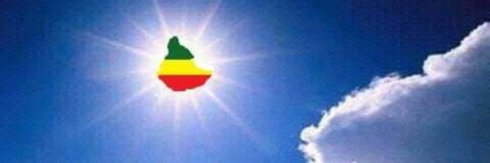 zeradawitzeeth's profile banner image