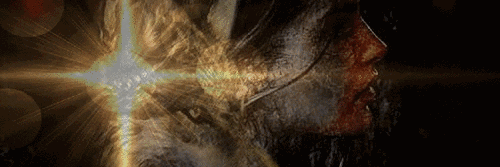 nalan212's profile banner image