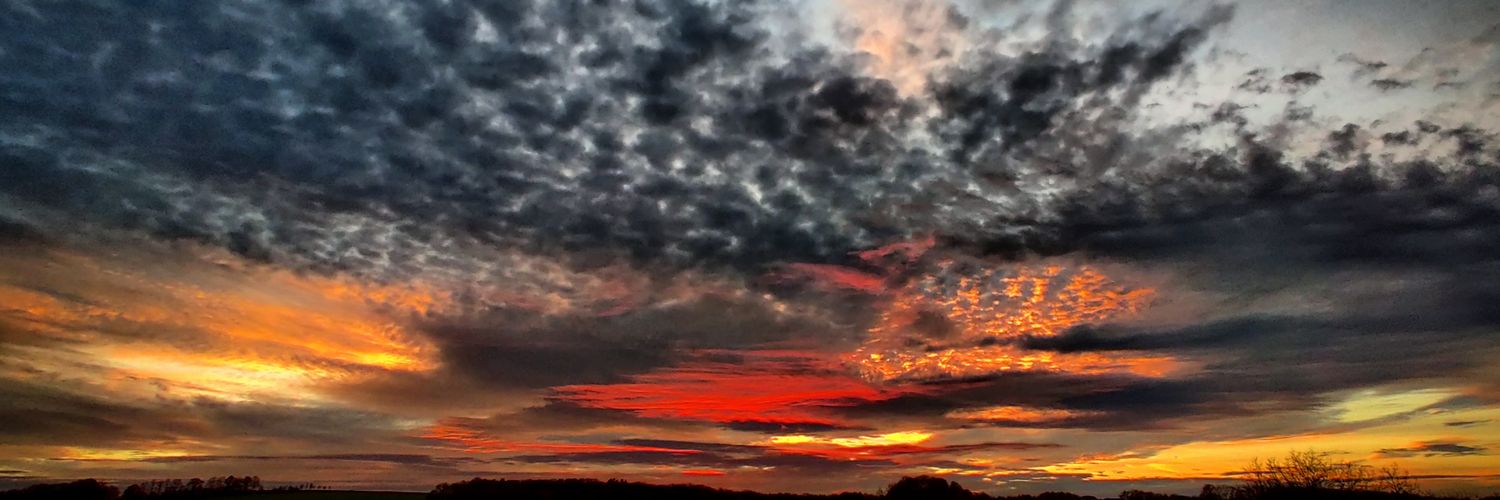 petval 💙💛 banner