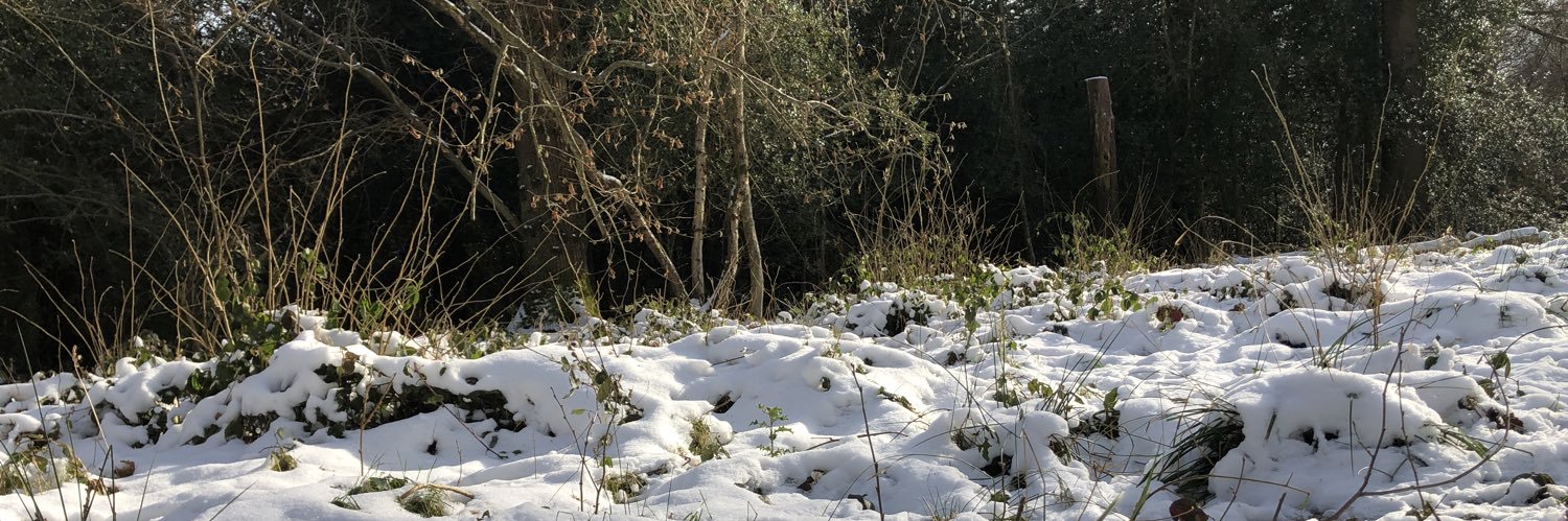 HarryKerr1's profile banner image