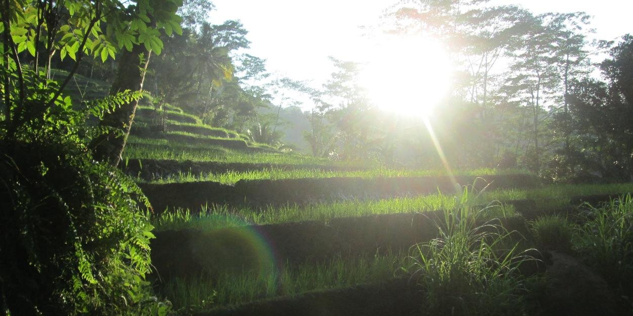teguhdong's profile banner image